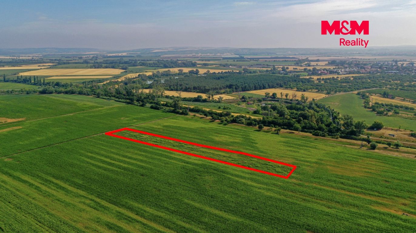DJI_0880 kopie.jpg