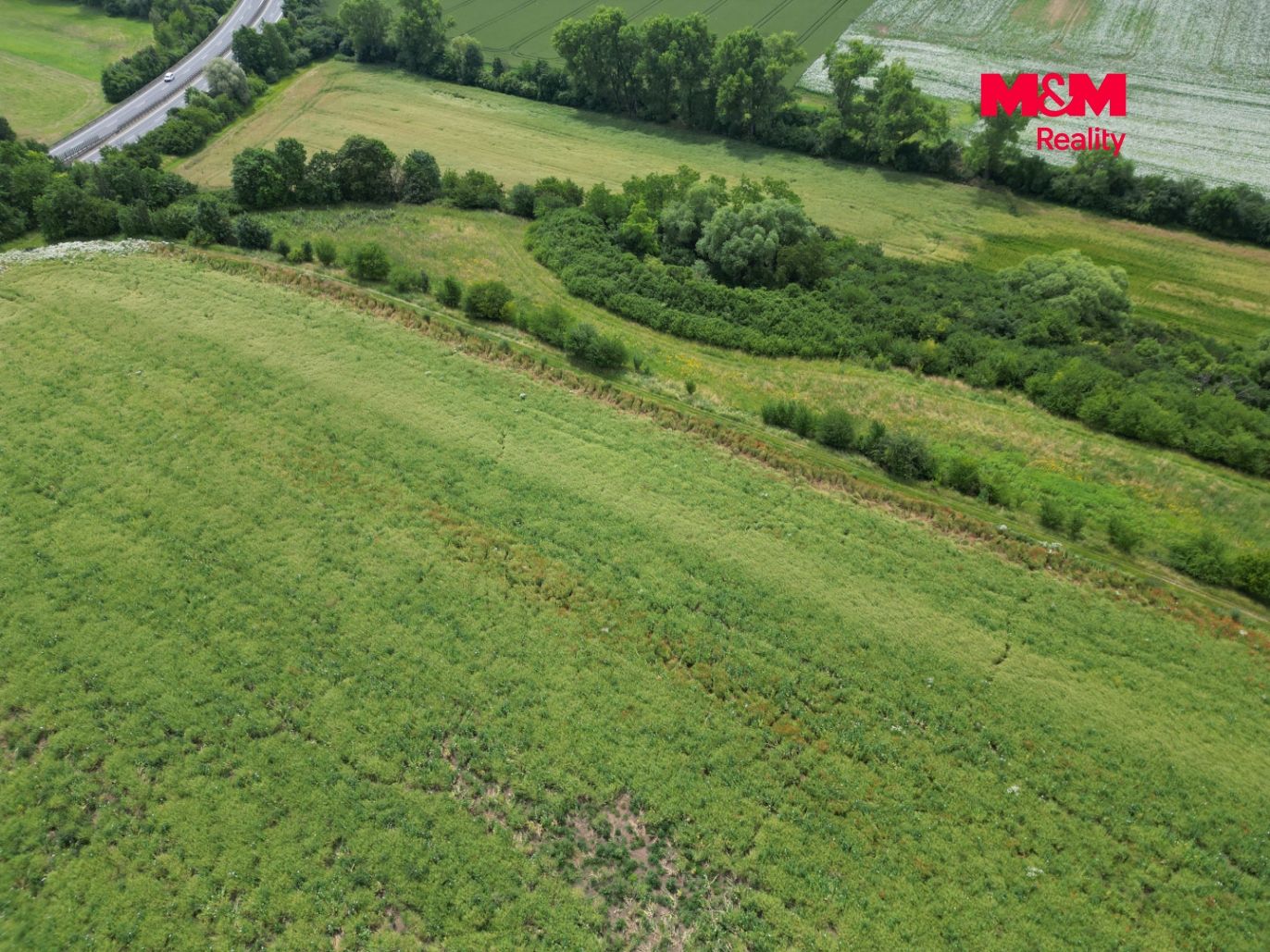 DJI_0571.jpg