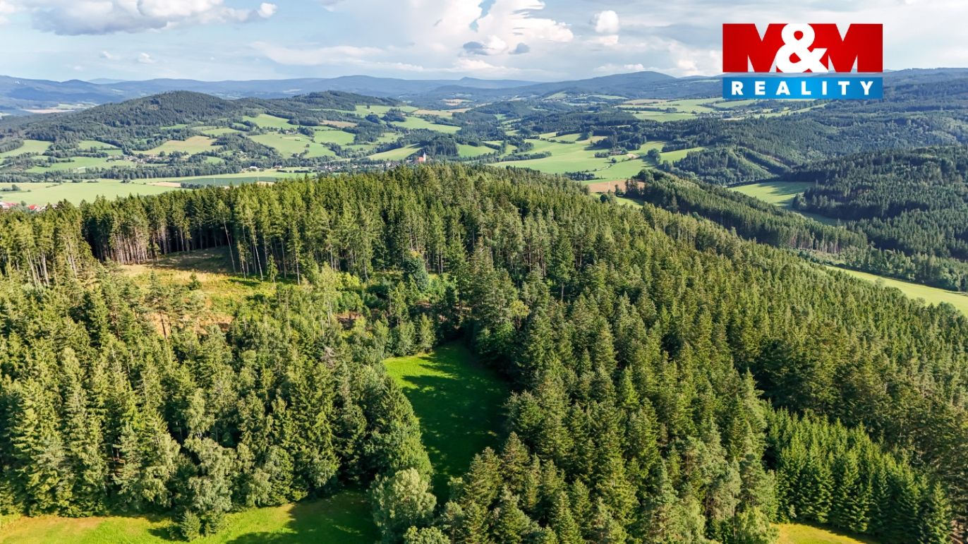 DJI_20250729174600_0184_D.jpg