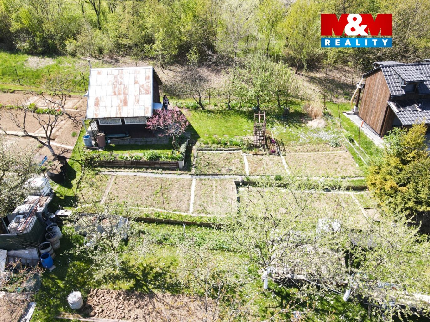 DJI_0237.jpg