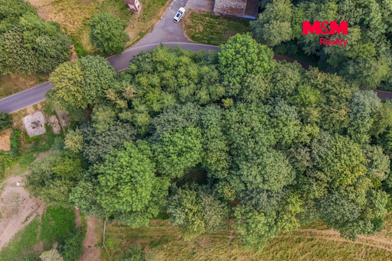 DJI_20260806112929_0122_D.jpg
