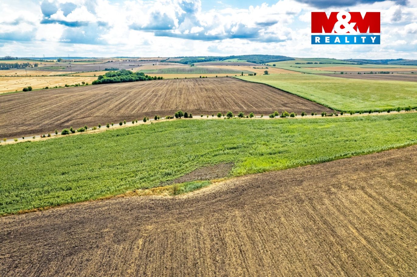 DJI_0943.jpg