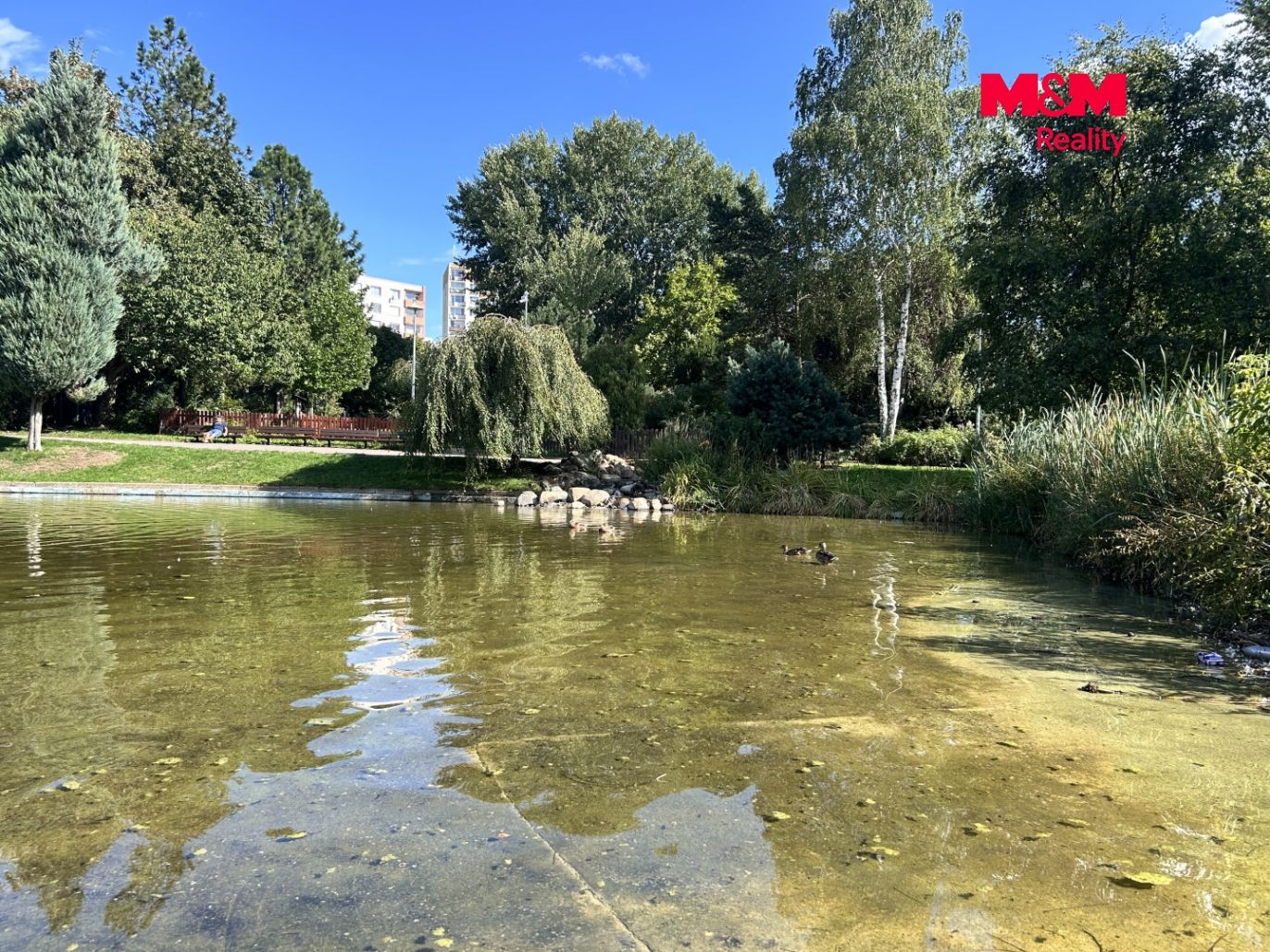 park