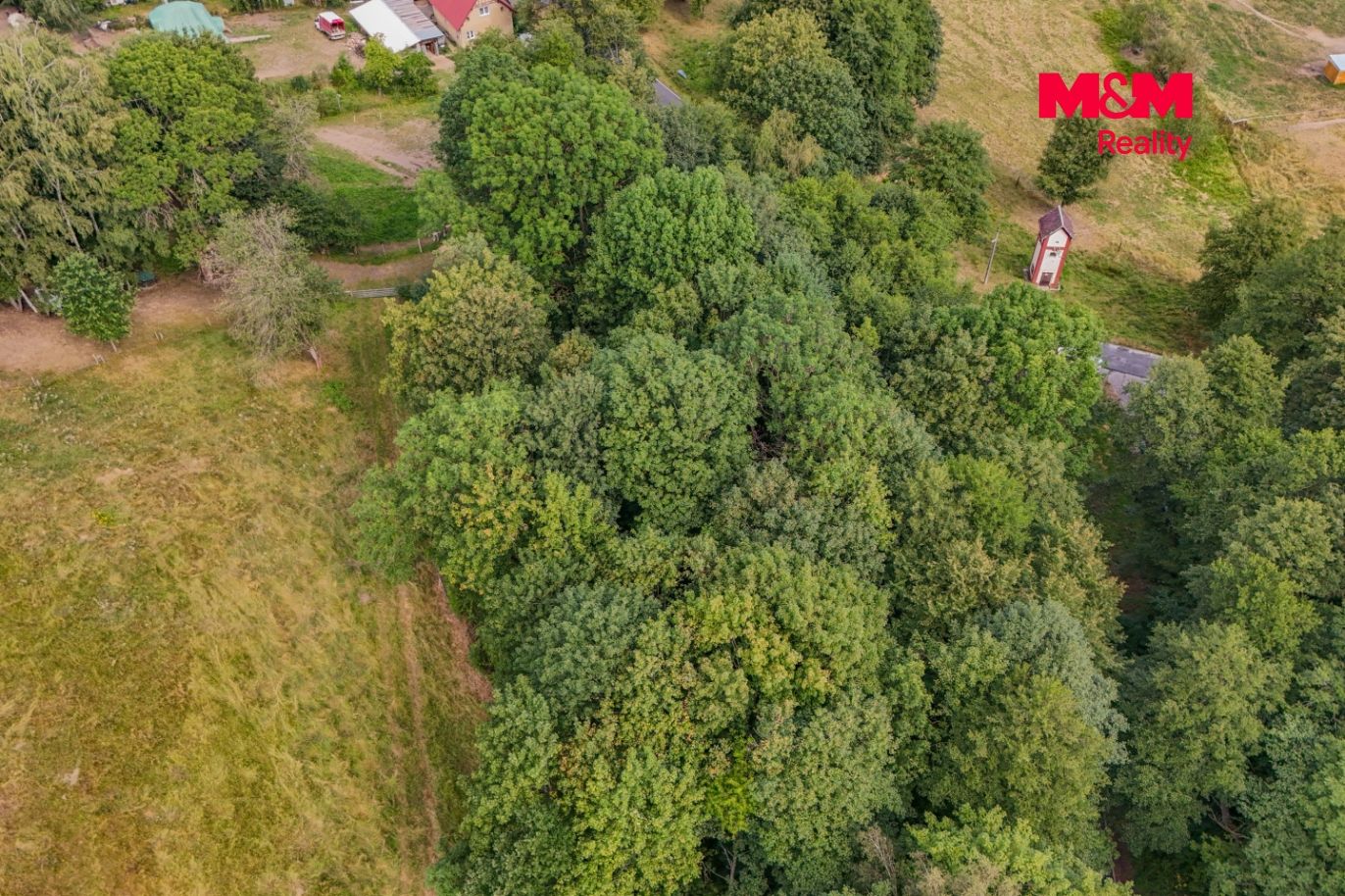 DJI_20260806112900_0121_D.jpg
