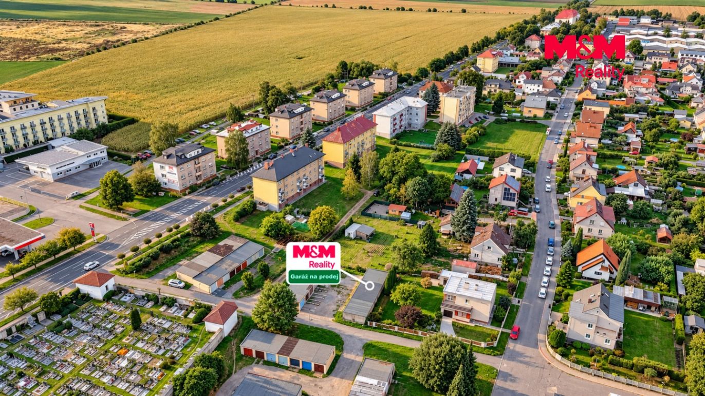 Dron1.jpg