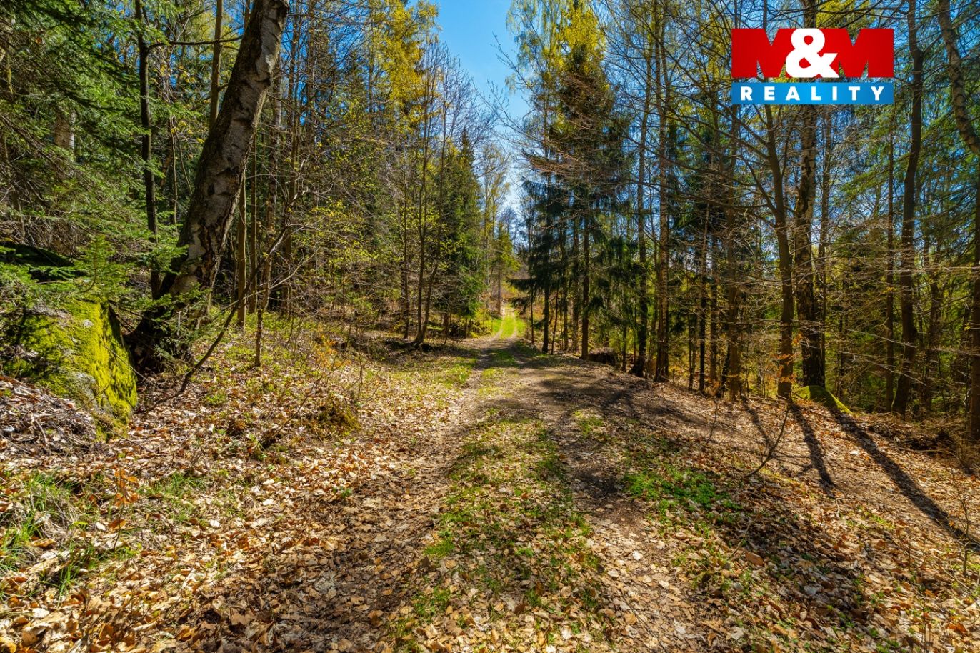 přijezdová cesta