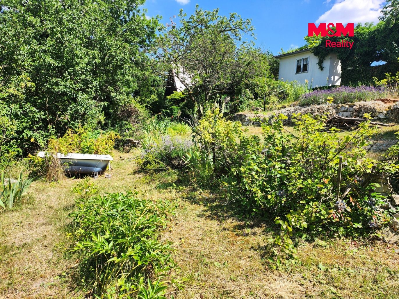 zahrada