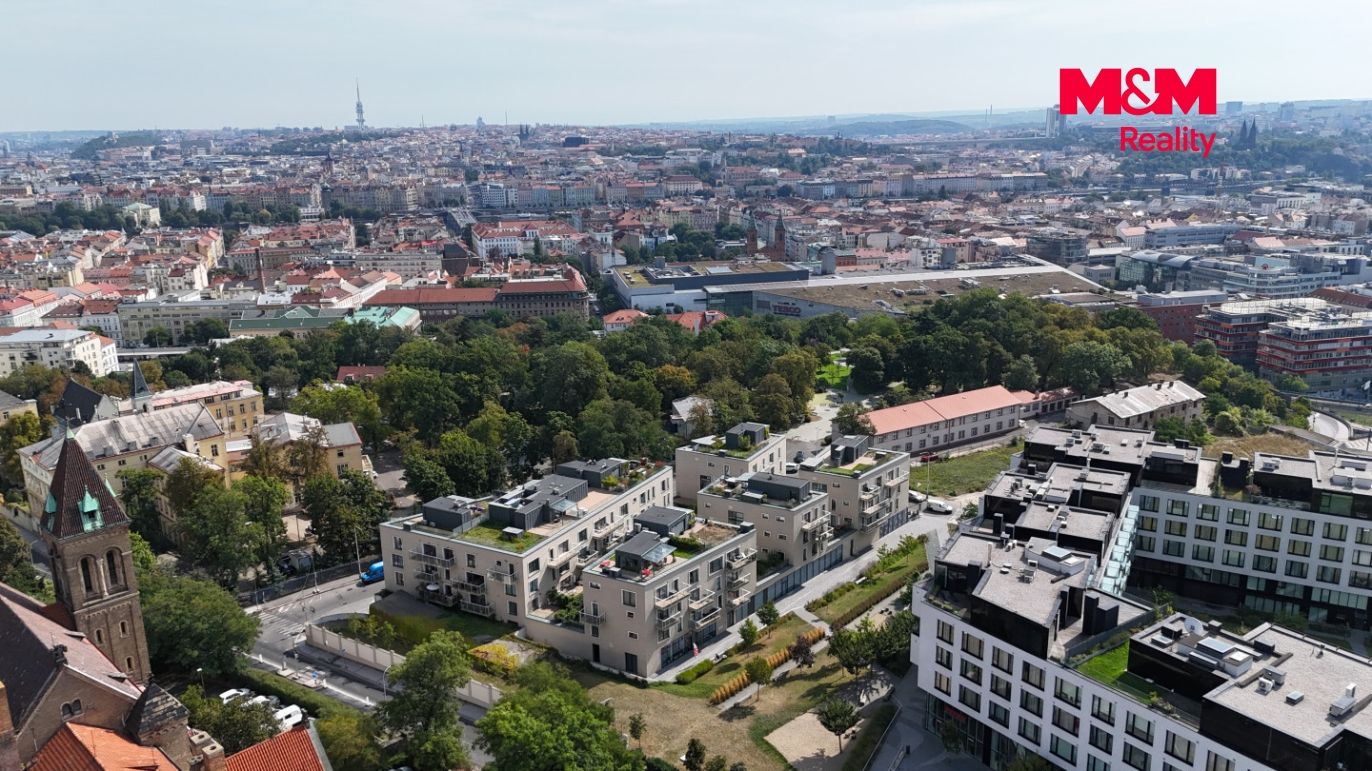 Pohled na lokalitu