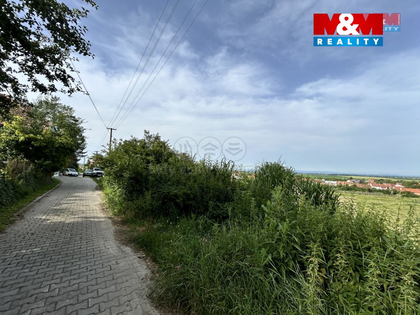 73323a7f-ec8b-4f01-abec-04dfac28c2a3.jpg