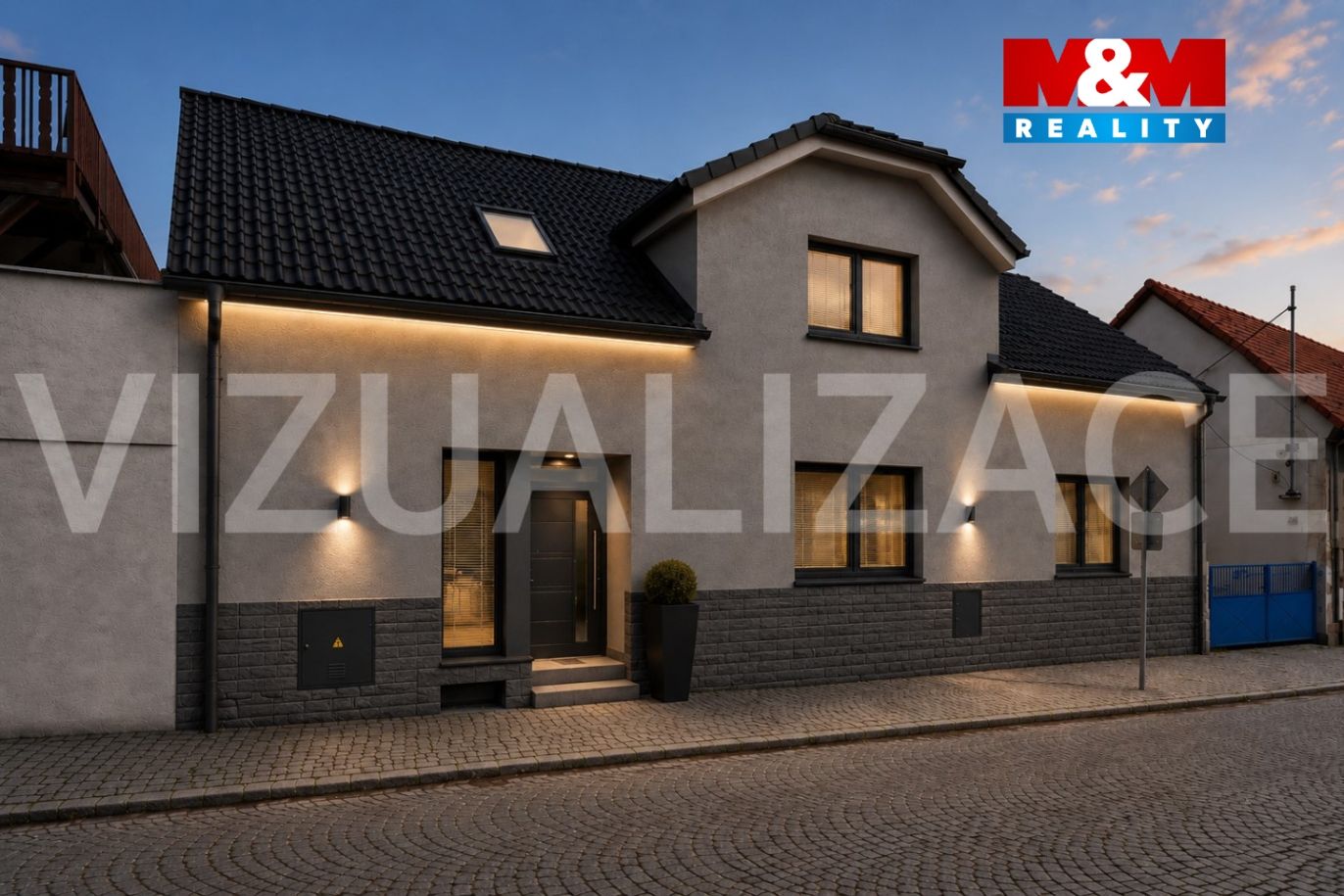Vizualizace