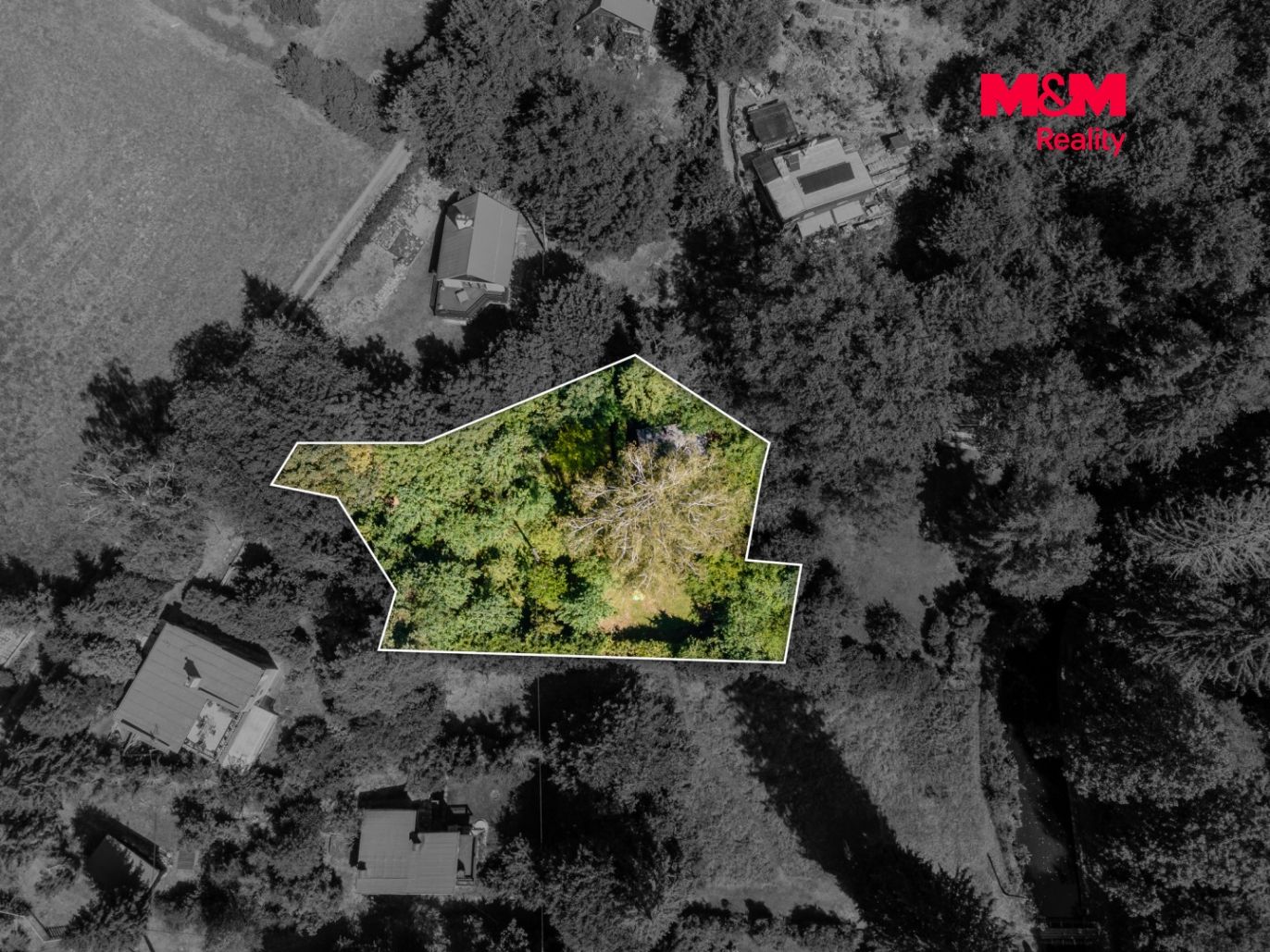 DJI_0038 copy.jpg