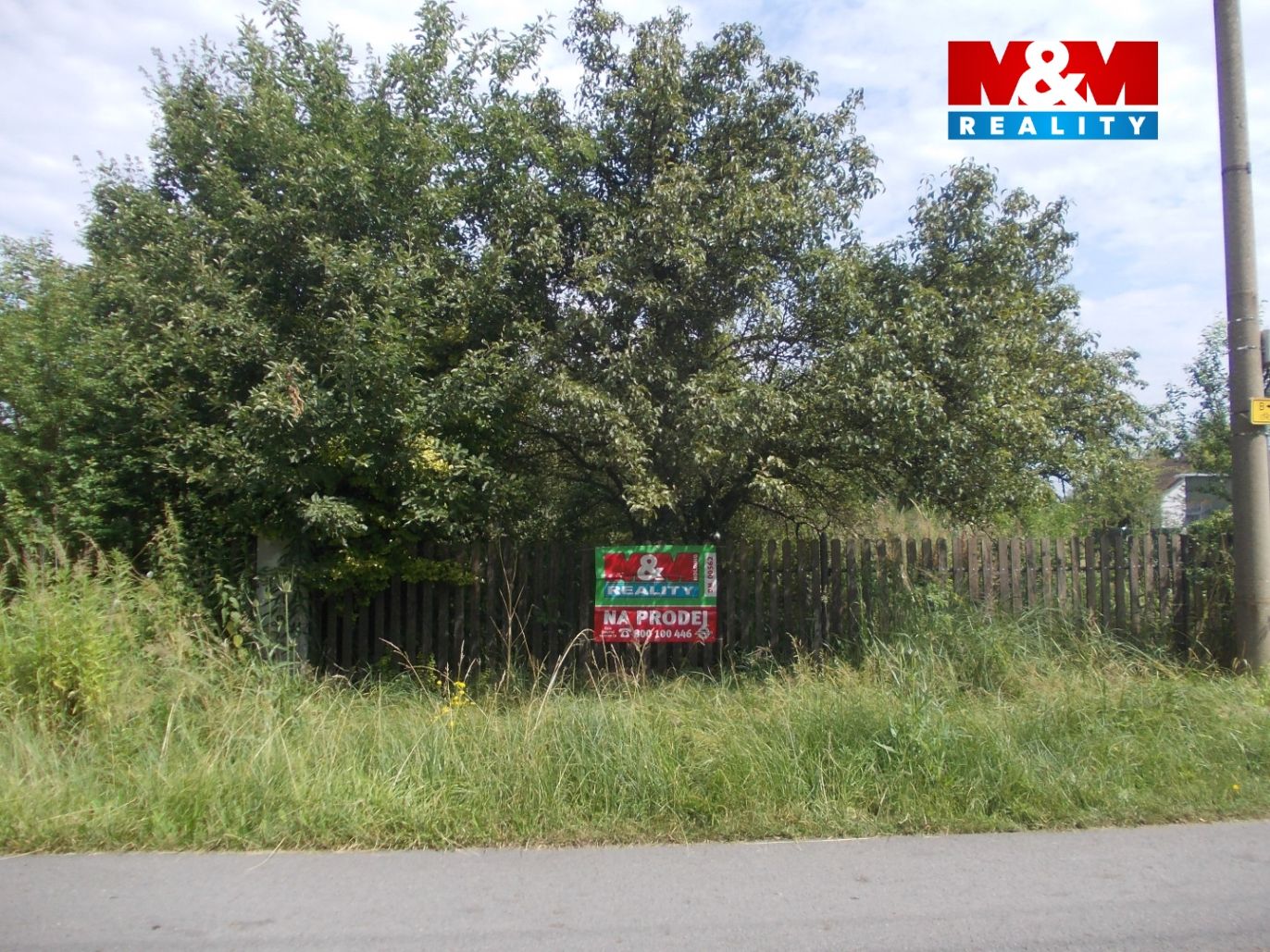 DSCN8458.jpg