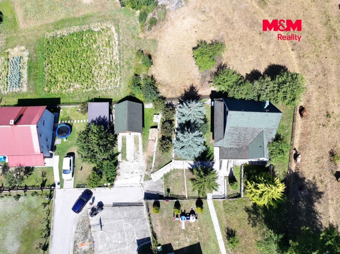 DJI_20260815104132_0715_D.jpg