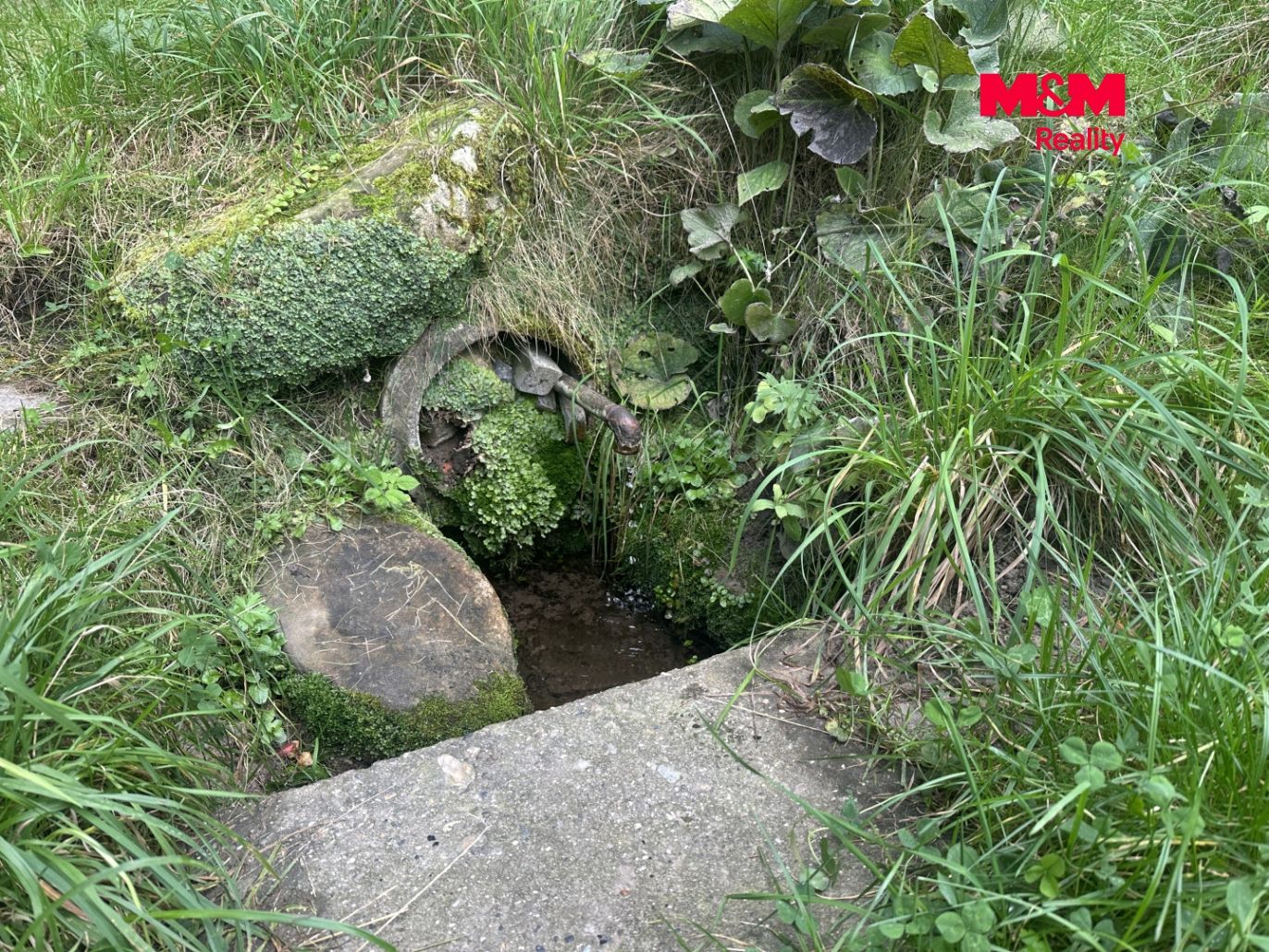 Studánka