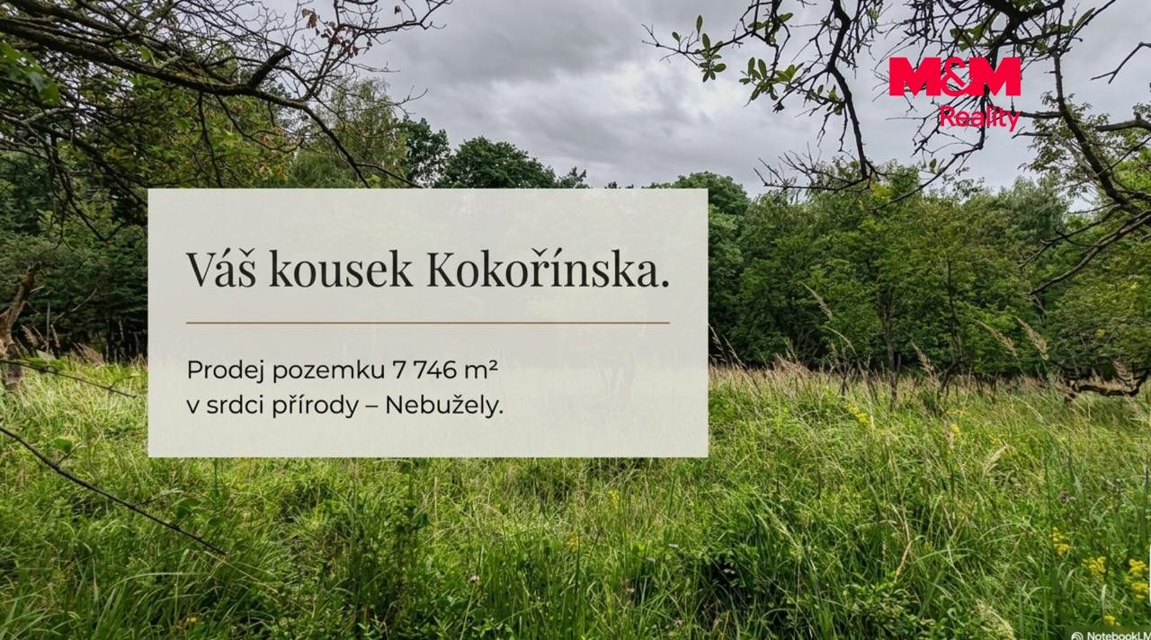 Foto 2.