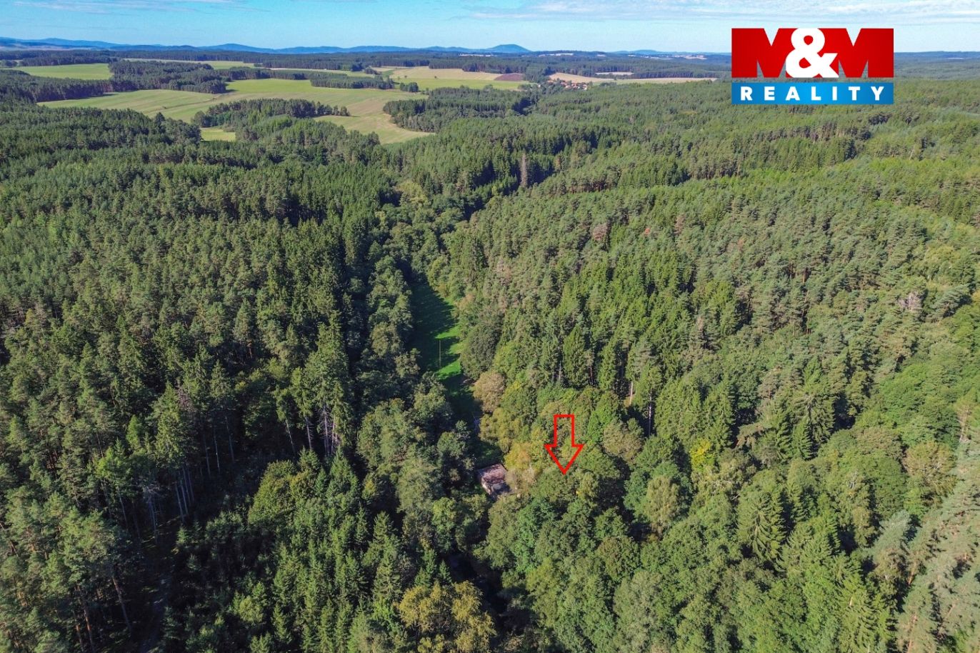 DJI_0230x.jpg