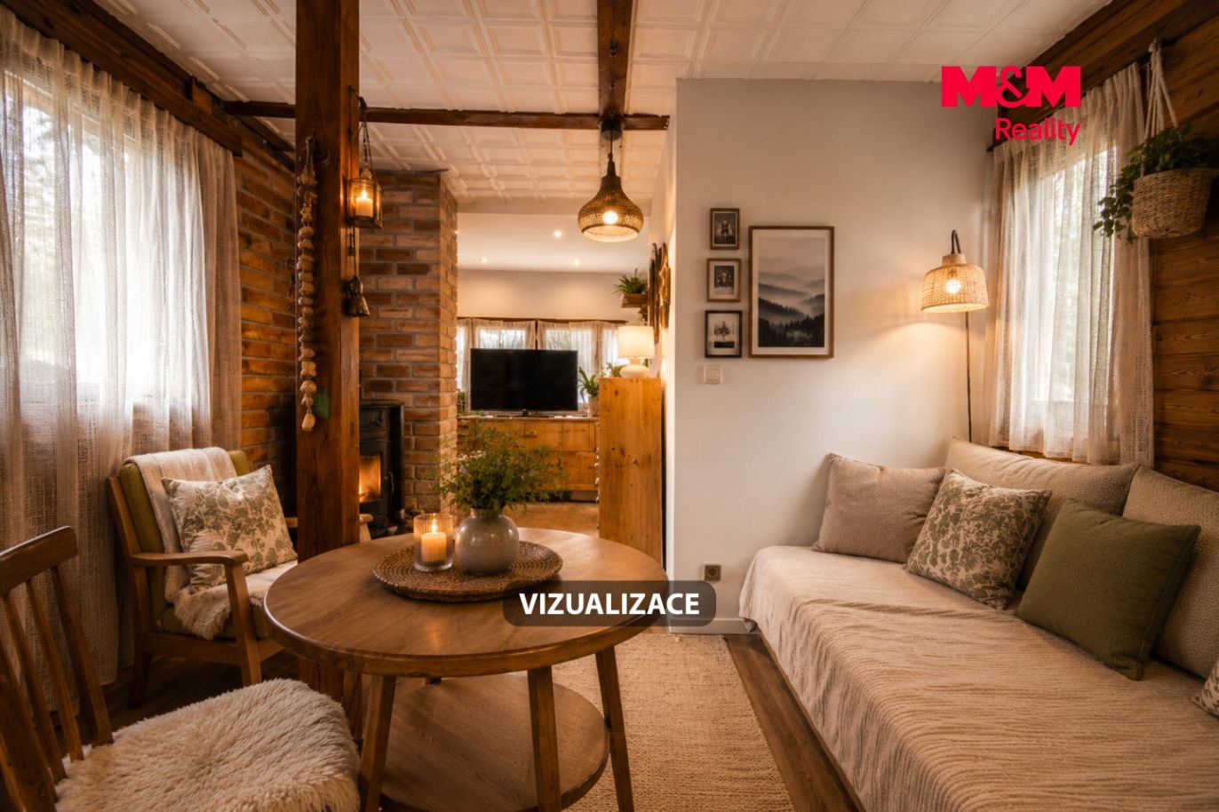 Vizualizace