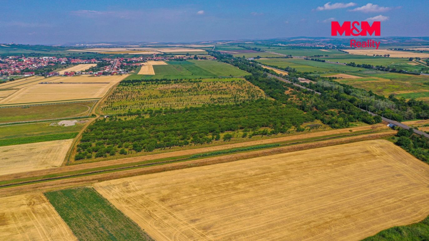 DJI_0928.jpg