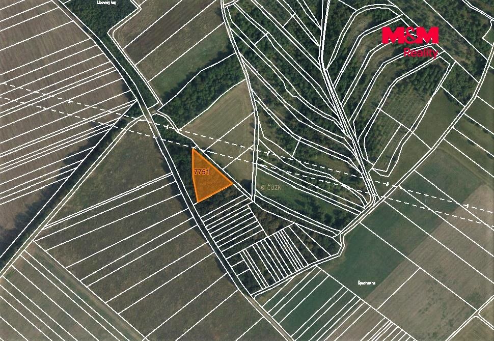 mapka