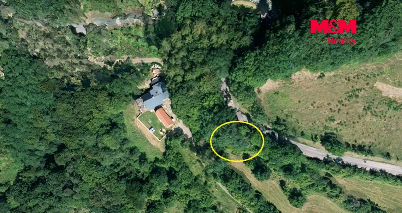 vyskeř 1.jpg