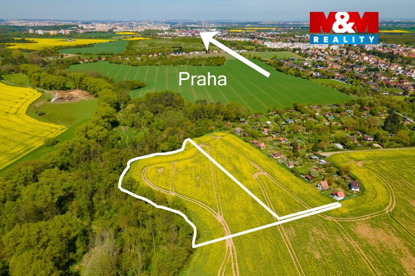 14a.jpg