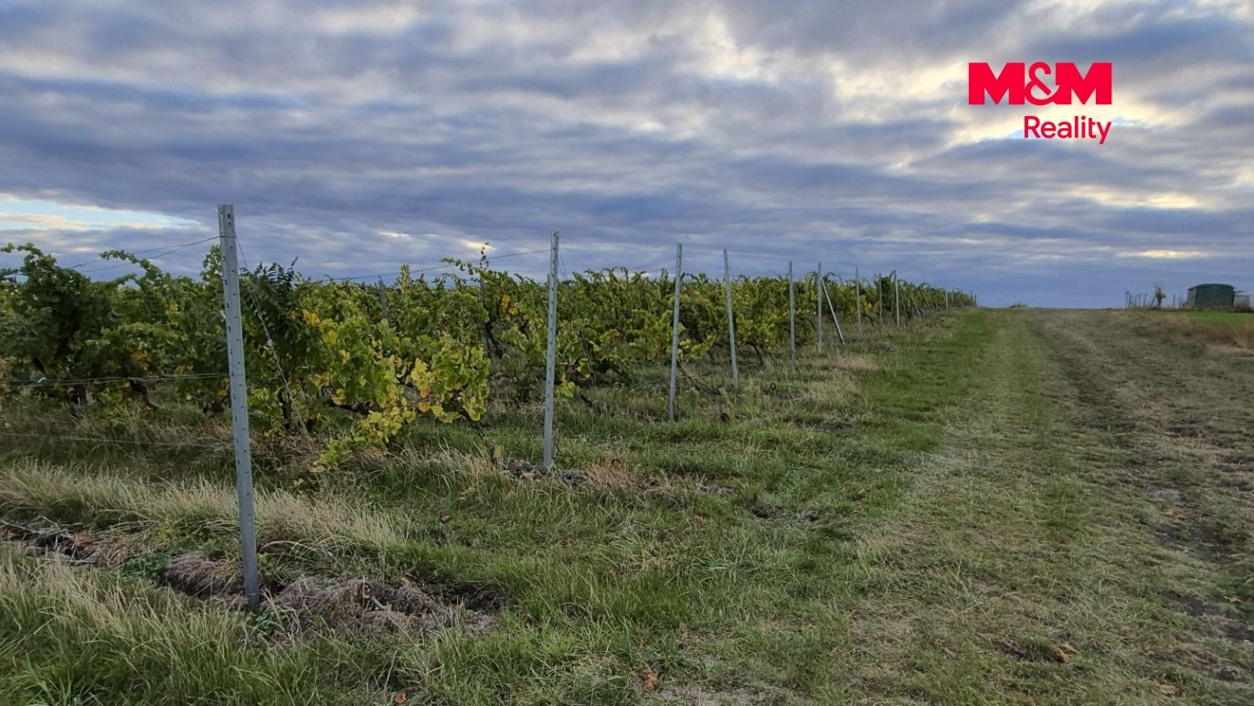 Cesta nad vinicí
