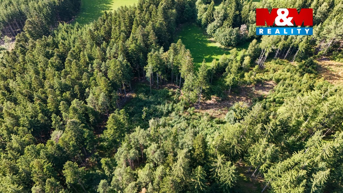 DJI_20250729175213_0196_D.jpg