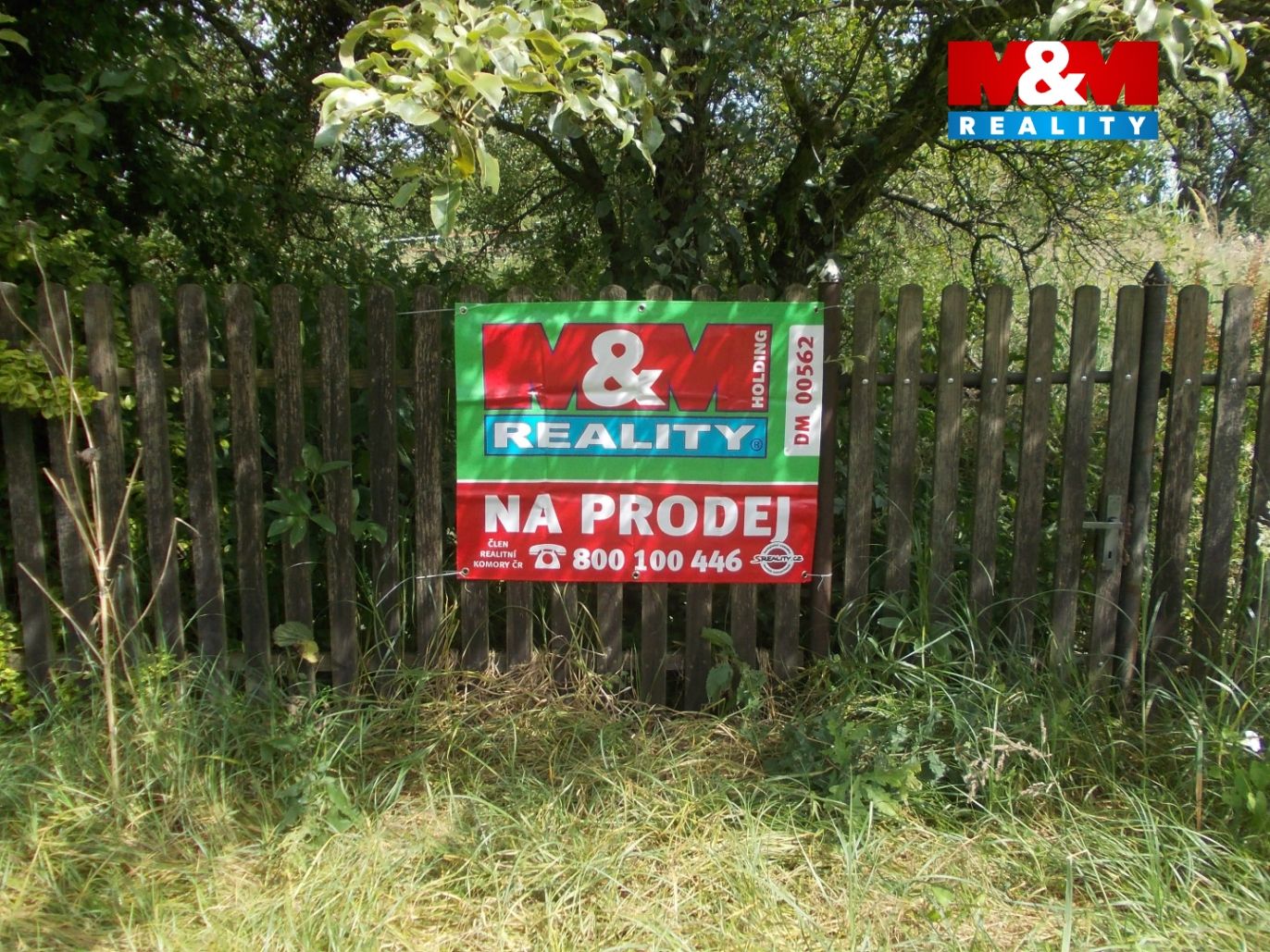 DSCN8459.jpg