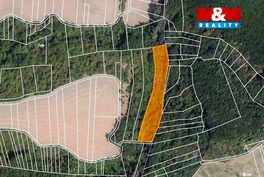 mapka