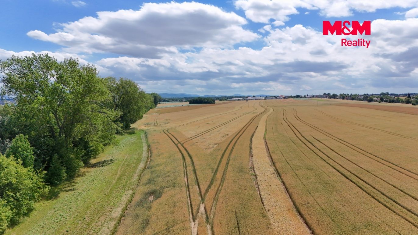 DJI_20260703135454_0200_D.jpeg