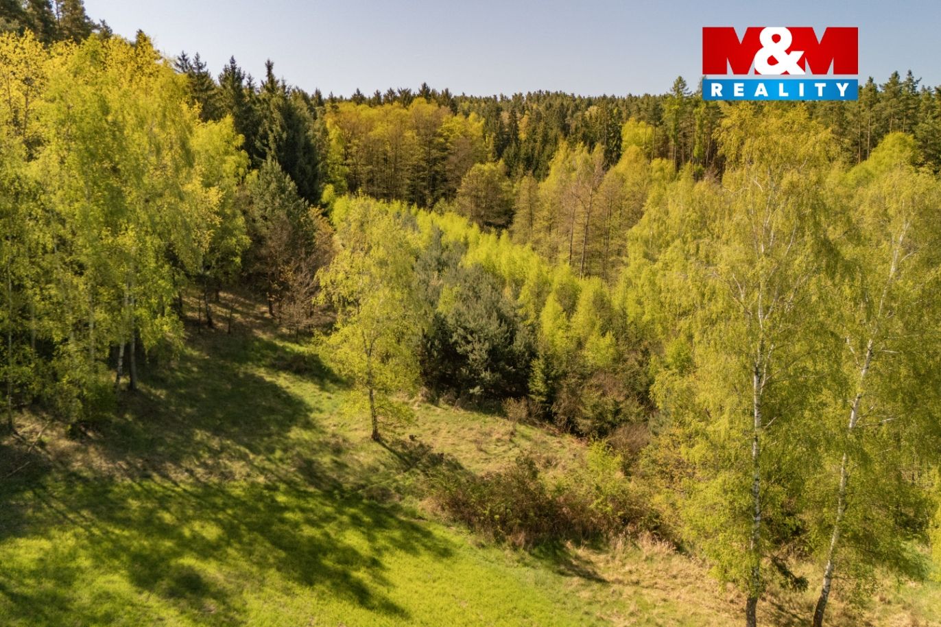 DJI_20260430110837_0007_D.jpg