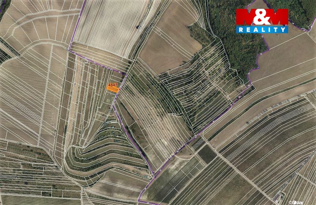mapka