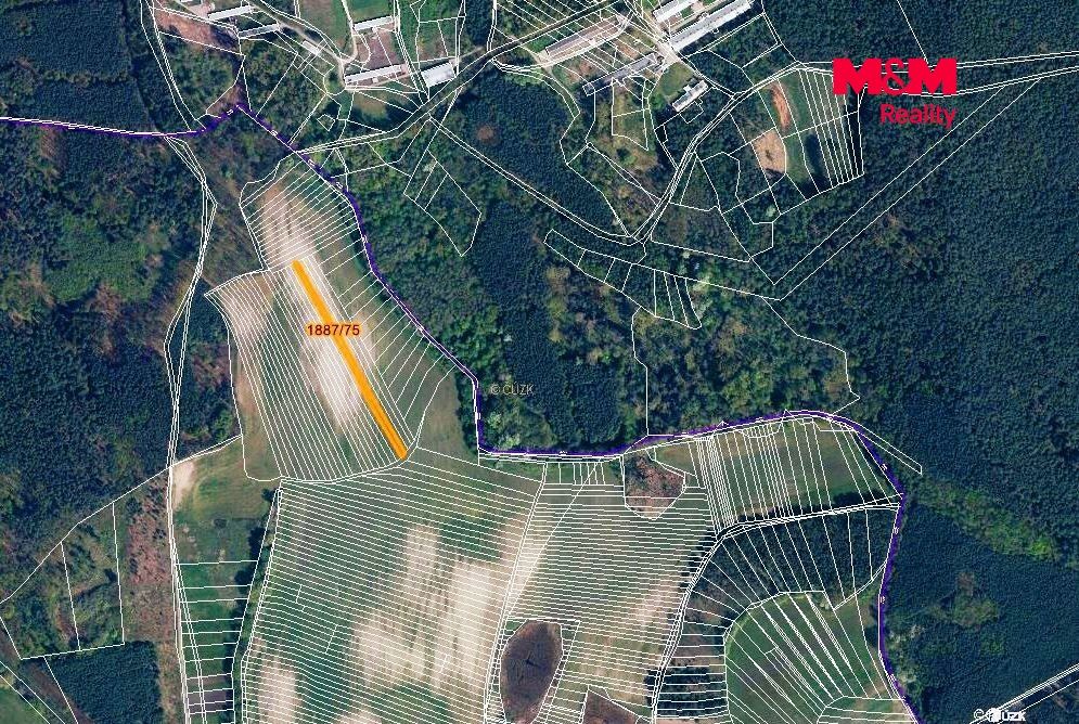 mapka