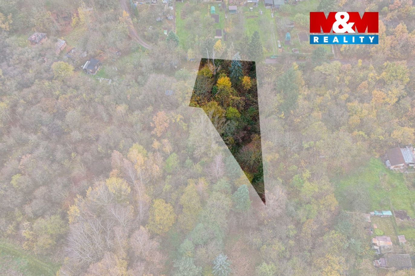 DJI_20241114095430_0888_D kopie.jpg