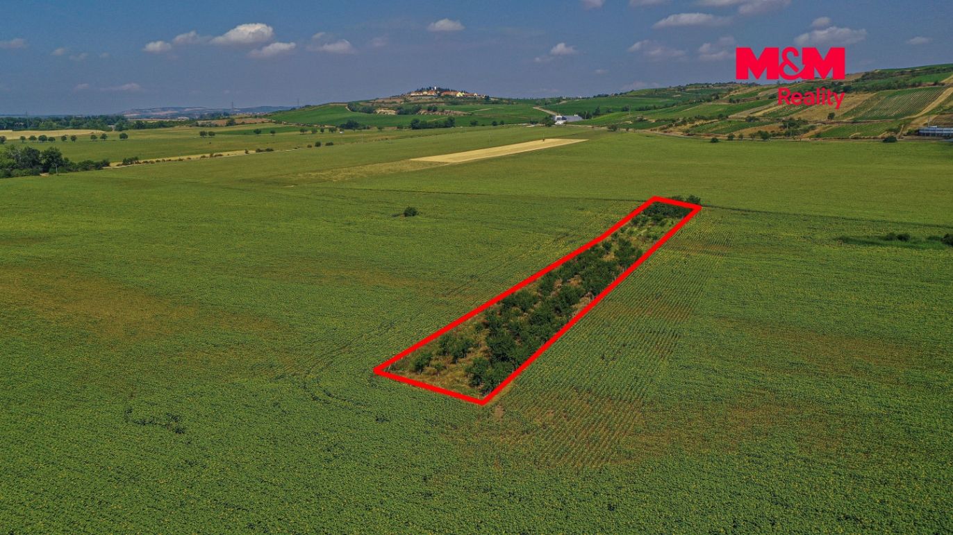 DJI_0946 kopie.jpg