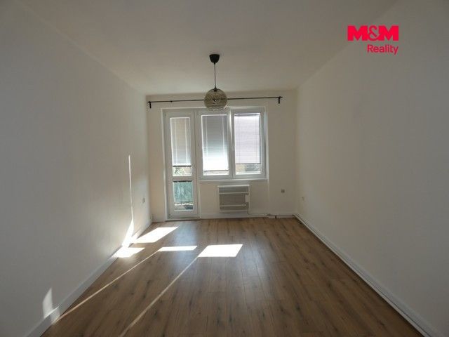 P1130429.jpg