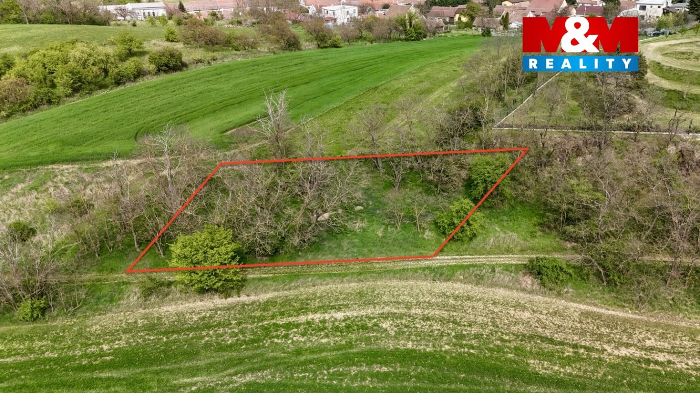 DJI_20260428151625_0235_D.jpg