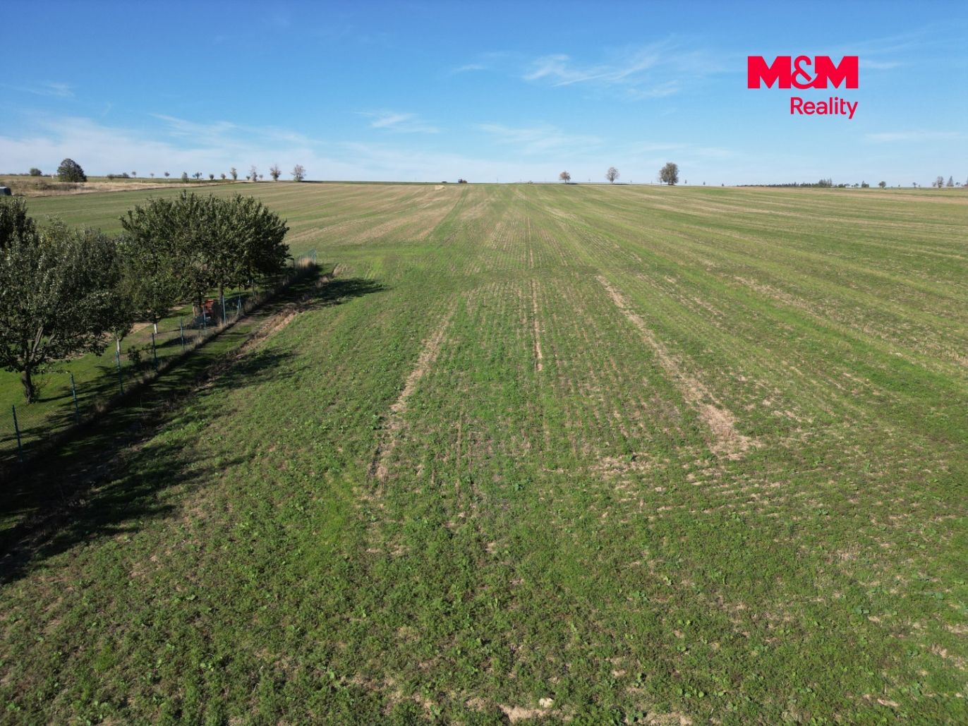 DJI_0943.jpg