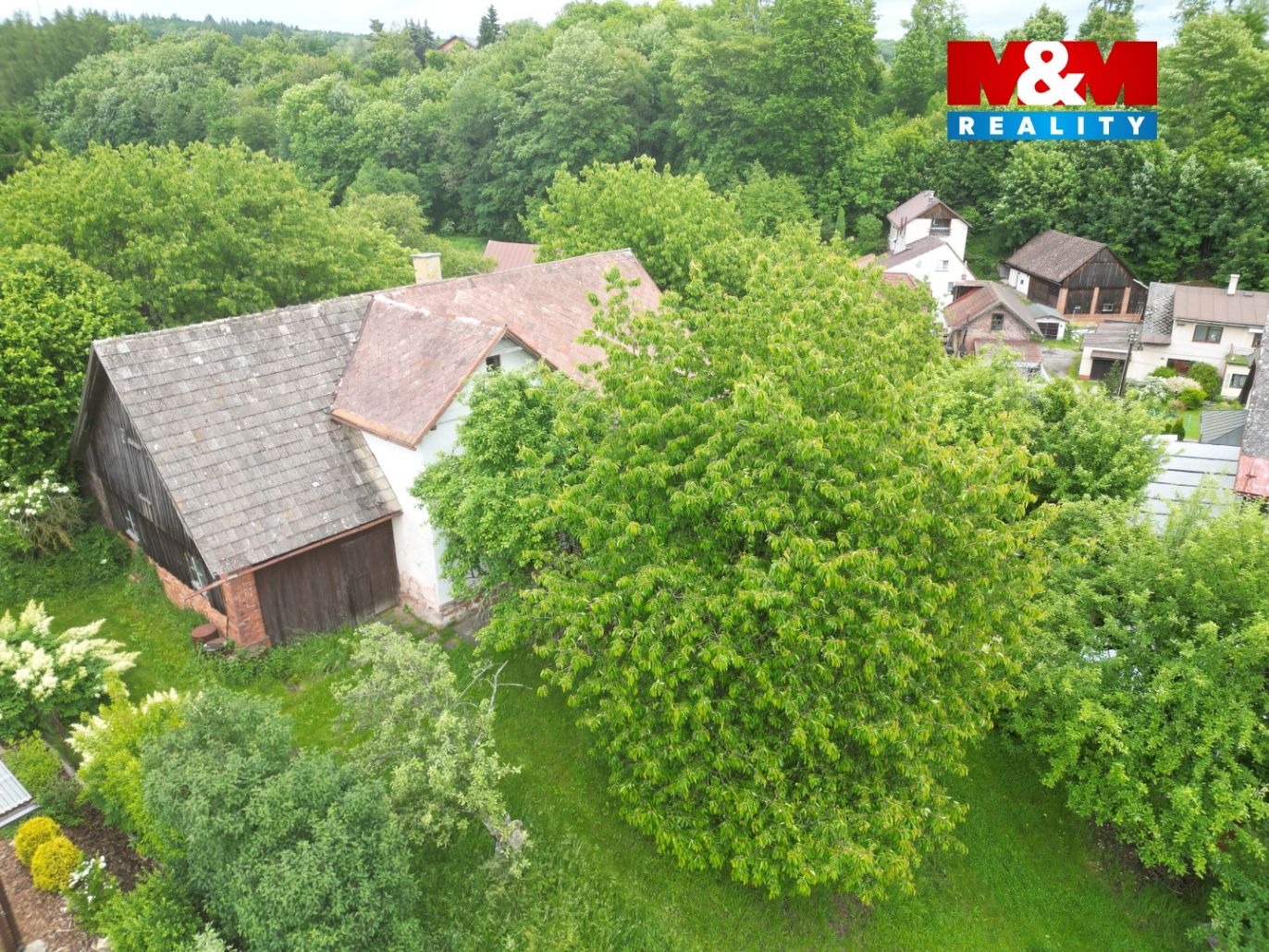 DJI_0229.jpg