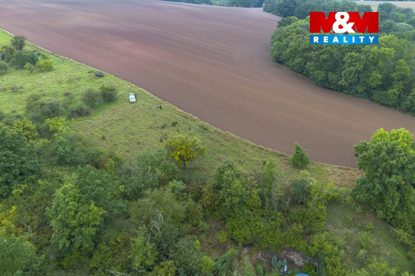 DJI_01102169.jpg
