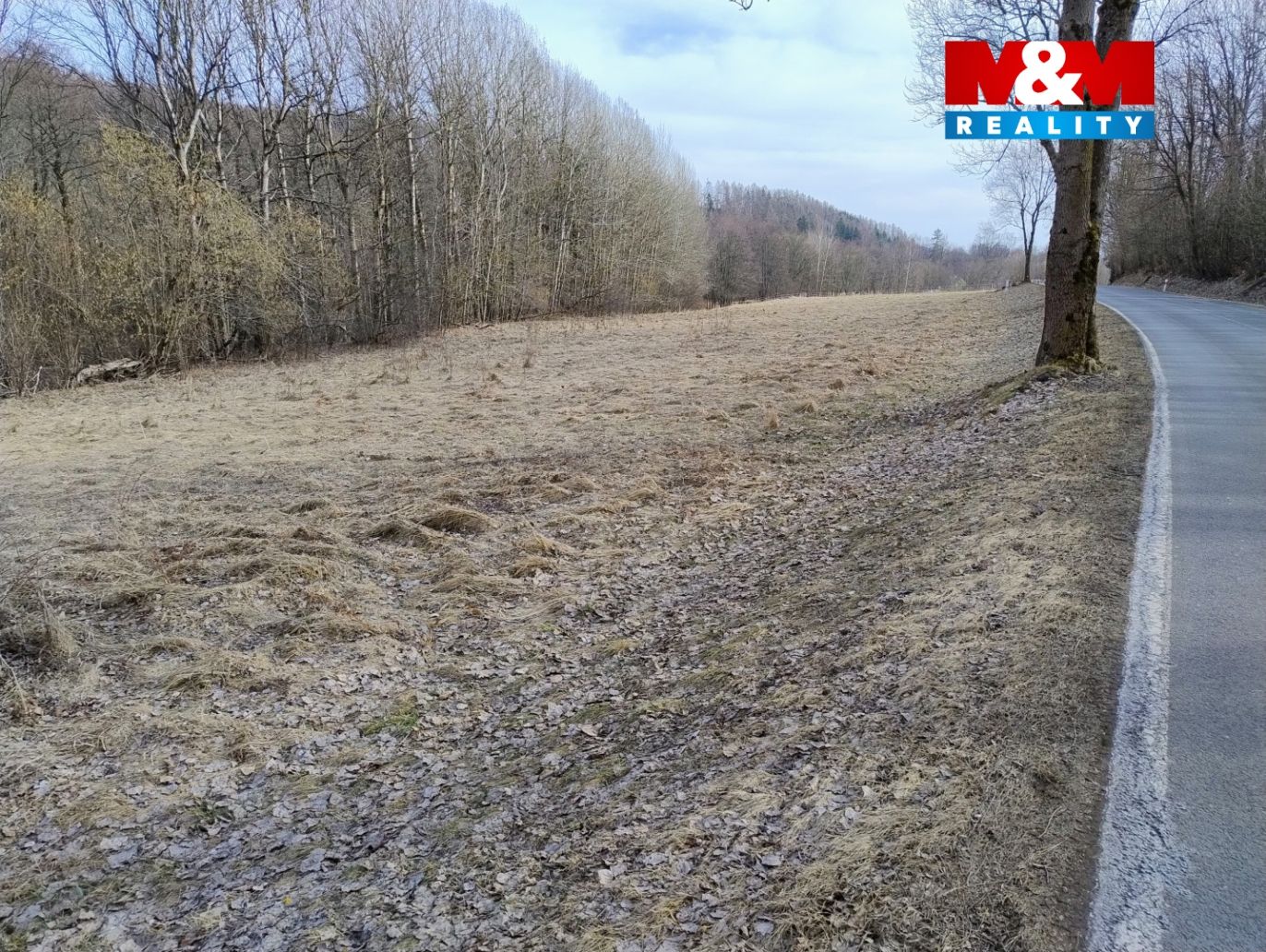 IMG_20250310_143553377_AE.jpg