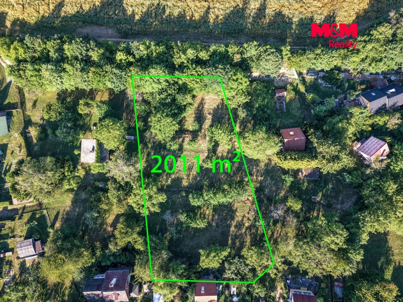 dji_fly_20260730_090400_0001_1785505711555_photo-Edit.jpg