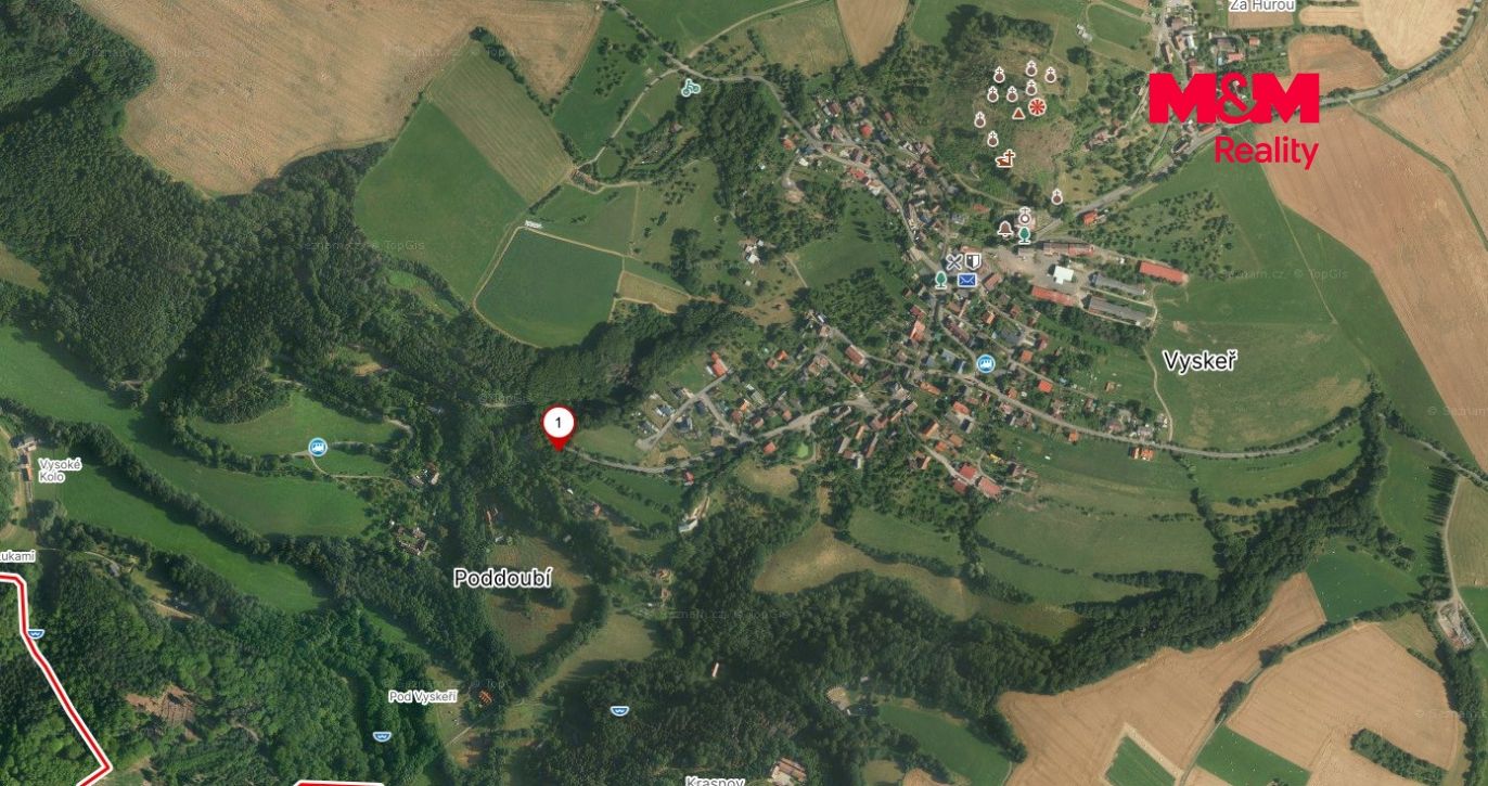 vyskeř 4.jpg