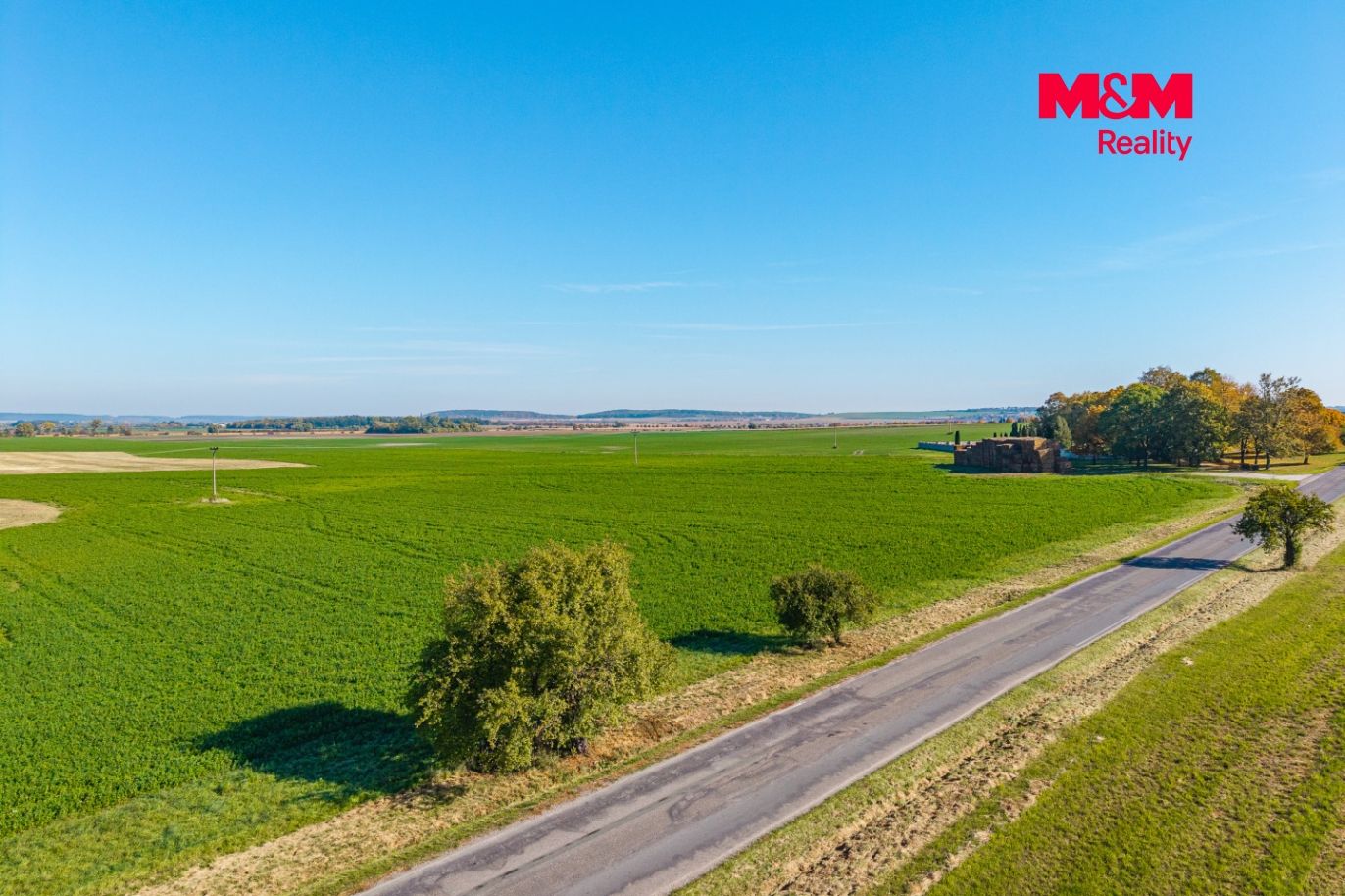 DJI_20260324060659_0032_D.jpg