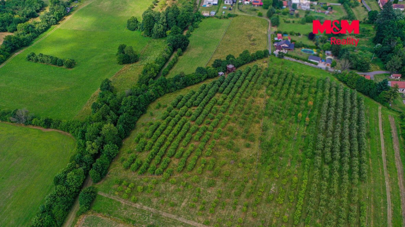 DJI_0783.jpg