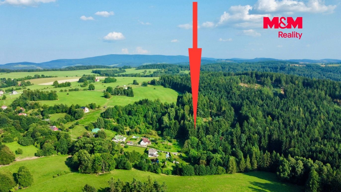 dji_fly_20250814_172424_29_1755185251697_photo_optimized.jpeg