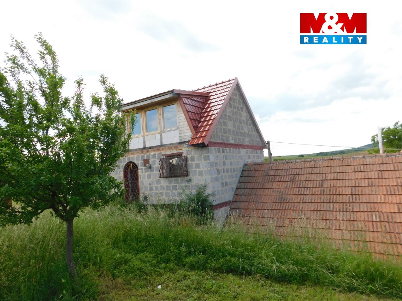 DSCN2558.jpg