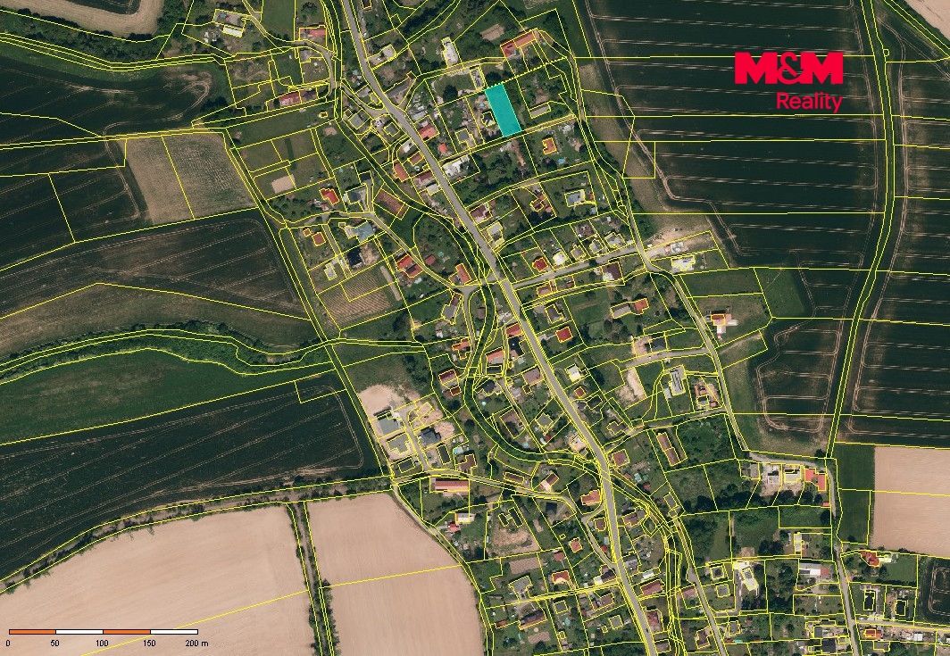 KM orto zoom.jpg