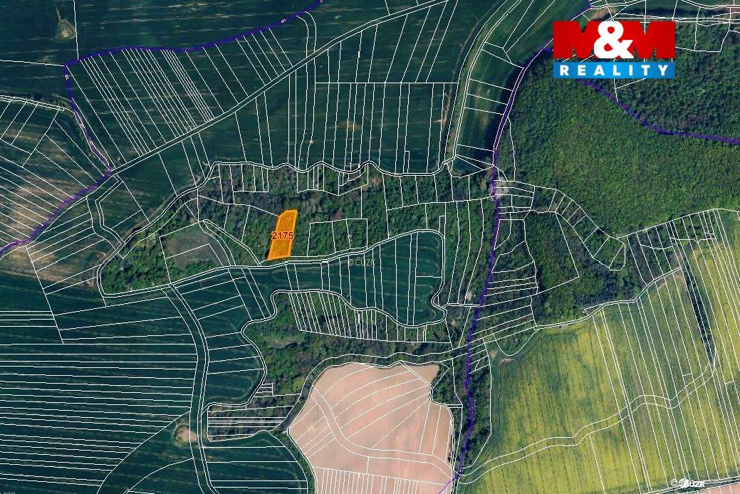 mapka