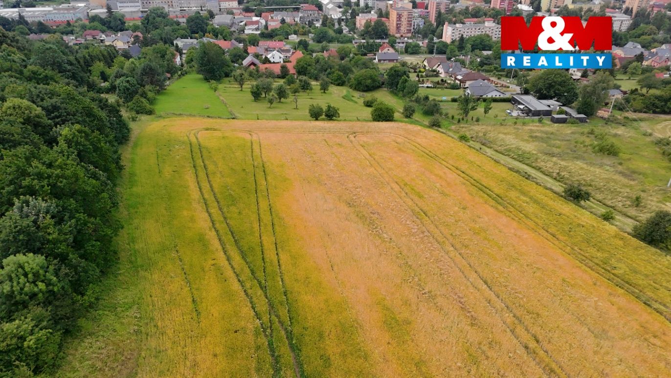 DJI_20250623125013_0010_D.jpg